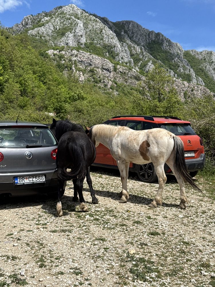 Photograph by Uliana Volegova