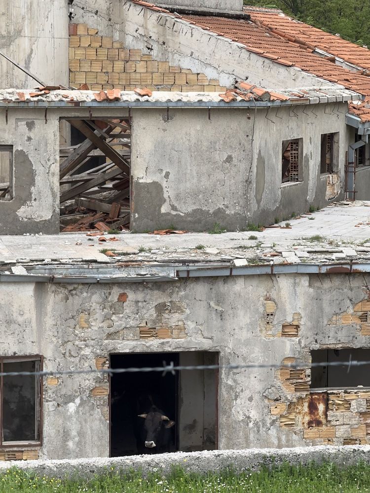 Photograph by Uliana Volegova