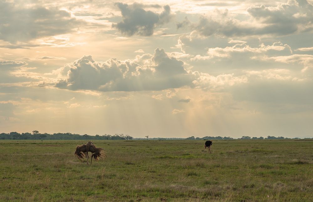 Фотография автора Наталья Липовская