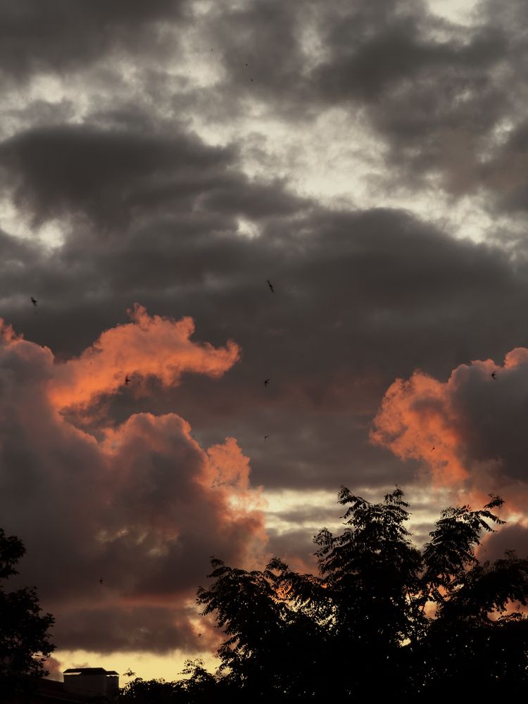 Photograph by Анна Голубцова