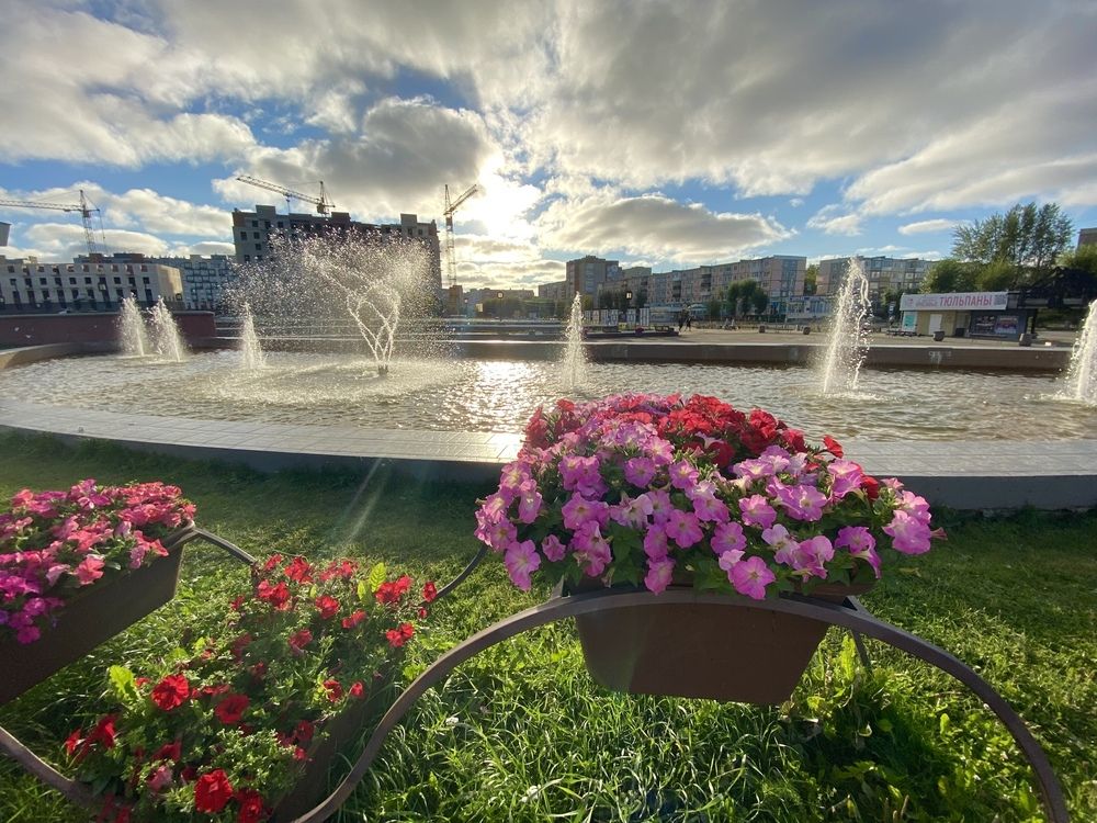 Небеса обетованные