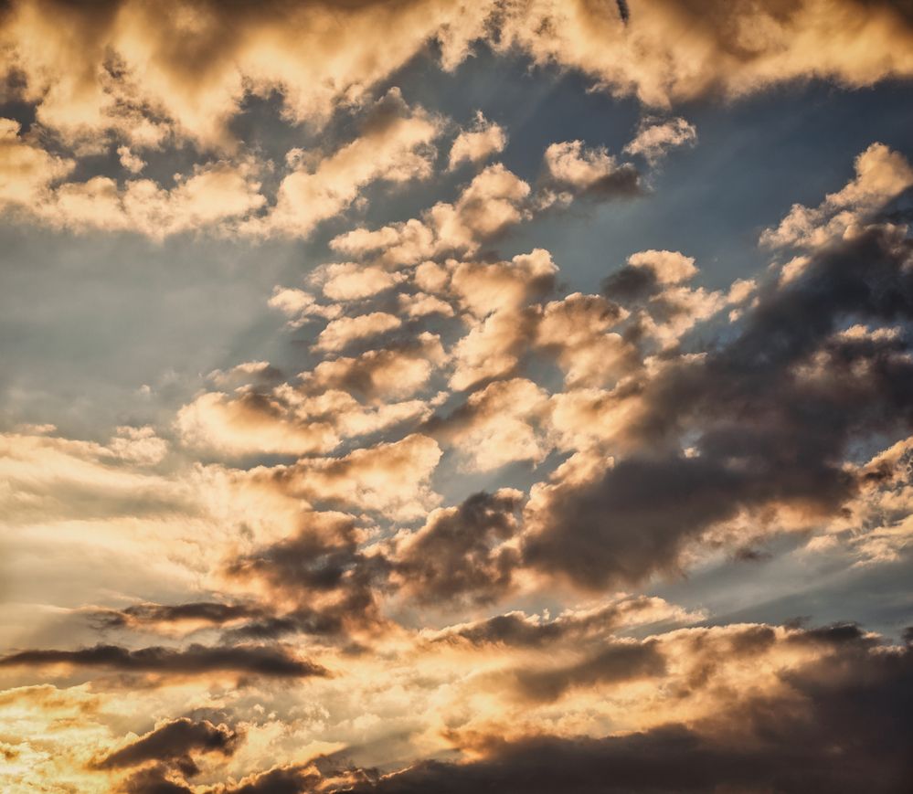 Photograph by Оксана Пономаренко