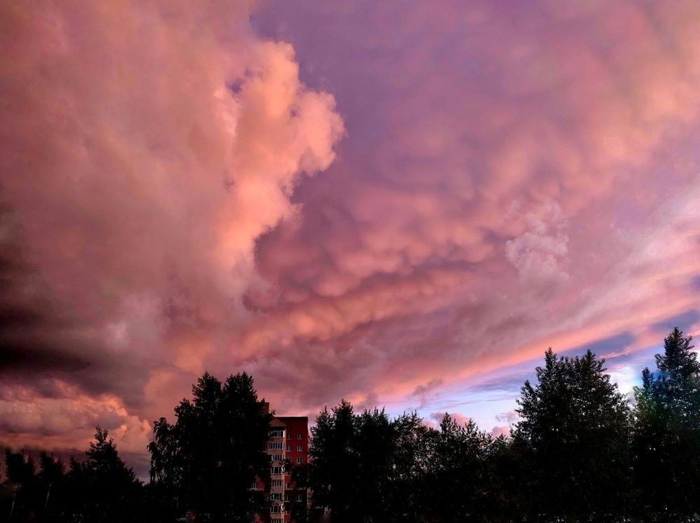 Photograph by Оксана Радзиевская