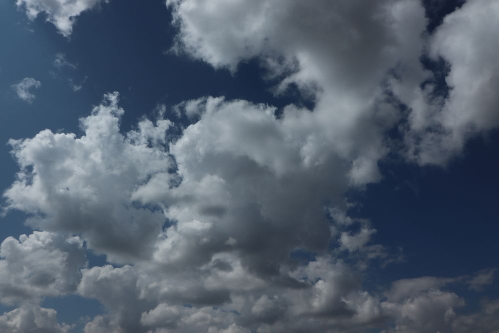 Photograph by Анна Каримуллина