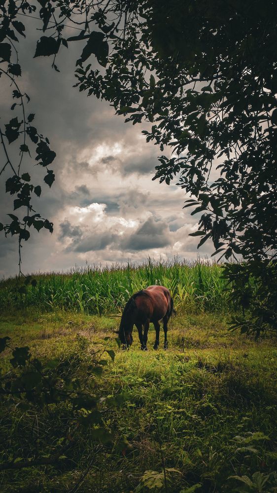 Photograph by Екатерина Никитина