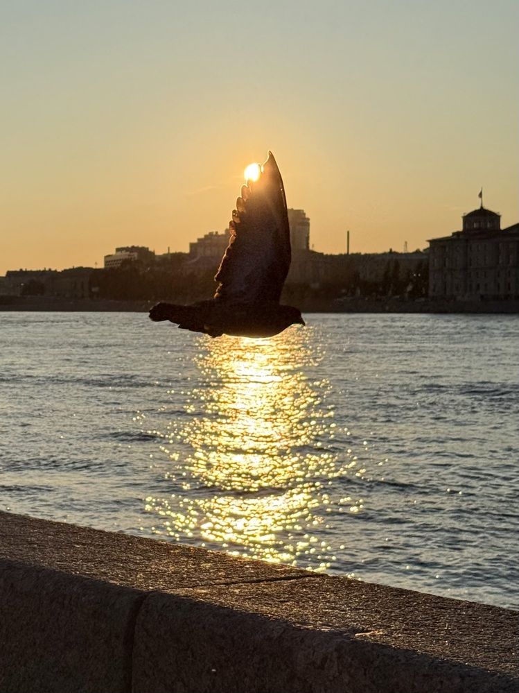 Photograph by Наталья Казачок