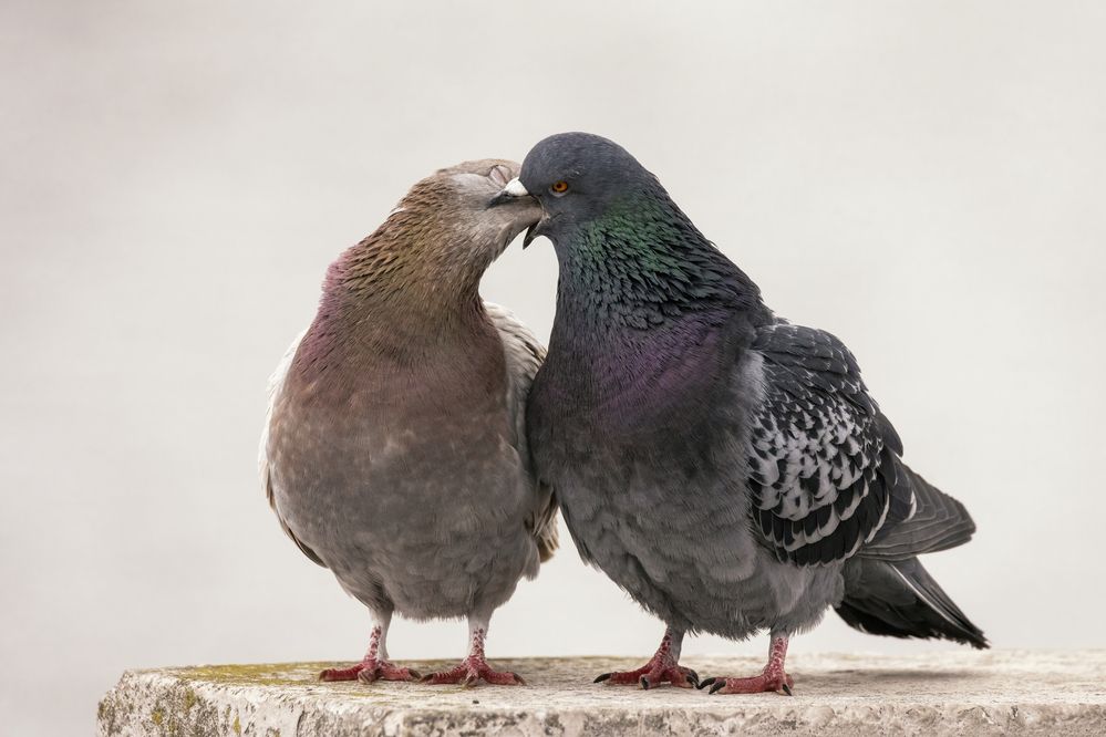 Photograph by Валерия Трейтяк