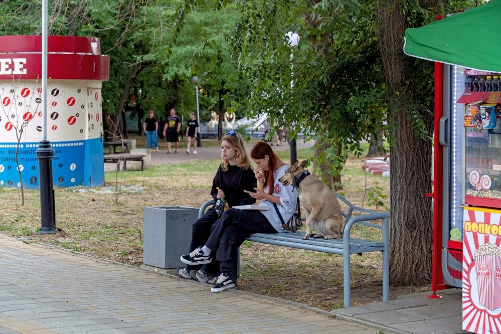 Photograph by Михаил Косолапов