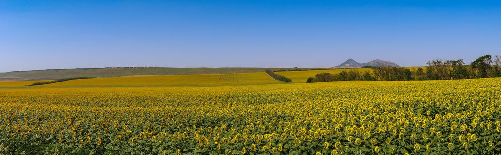 Photograph by Олег Филиппов