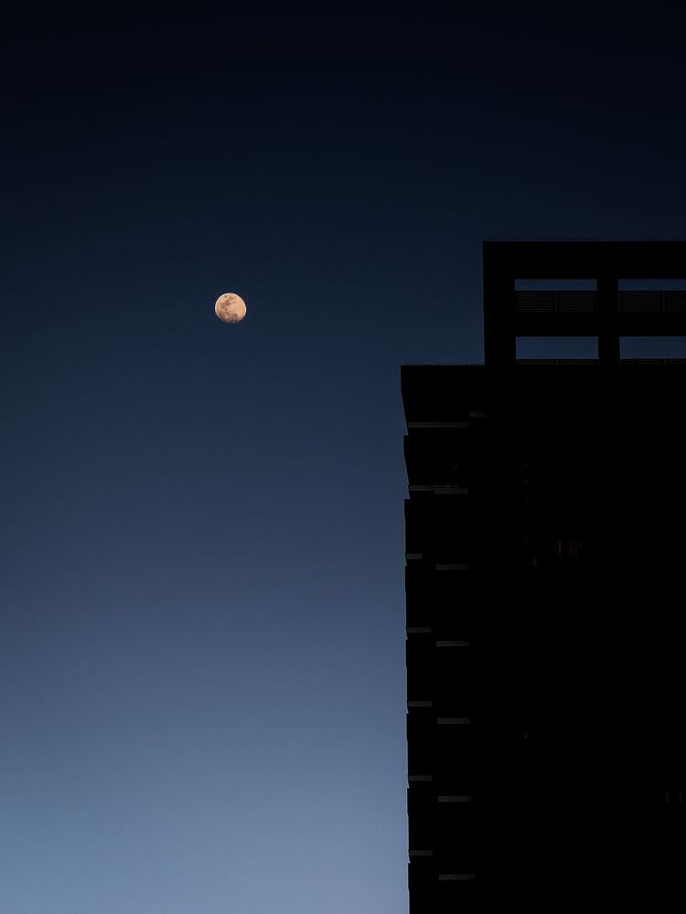 Фотография автора Gustavo Orellana