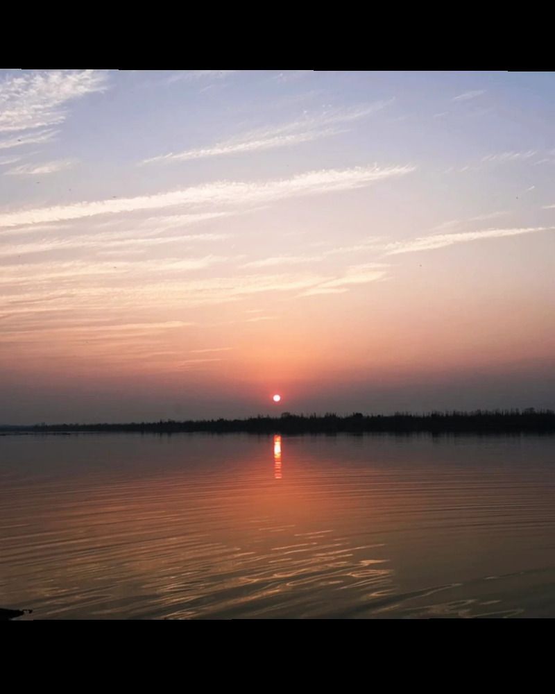 Photograph by Abhishek Chauhan