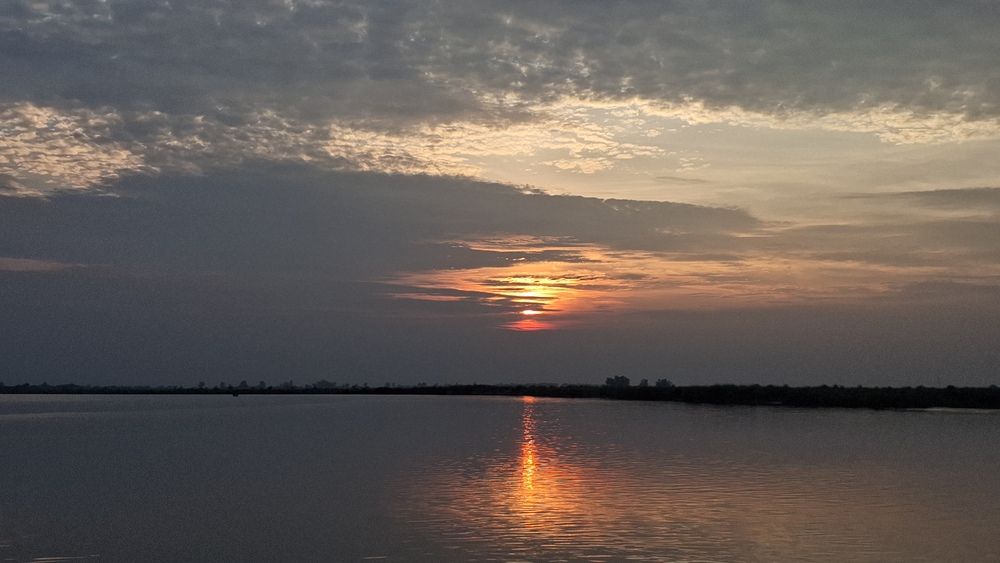 Photo #12532338