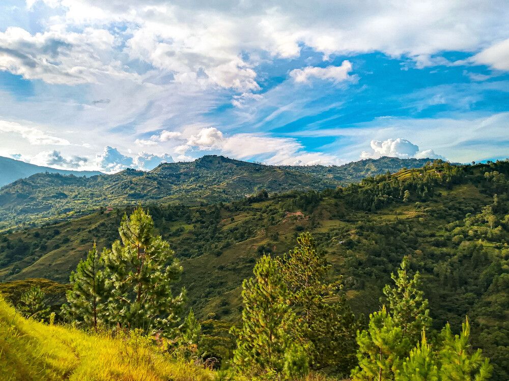 Photograph by Carlos Casas