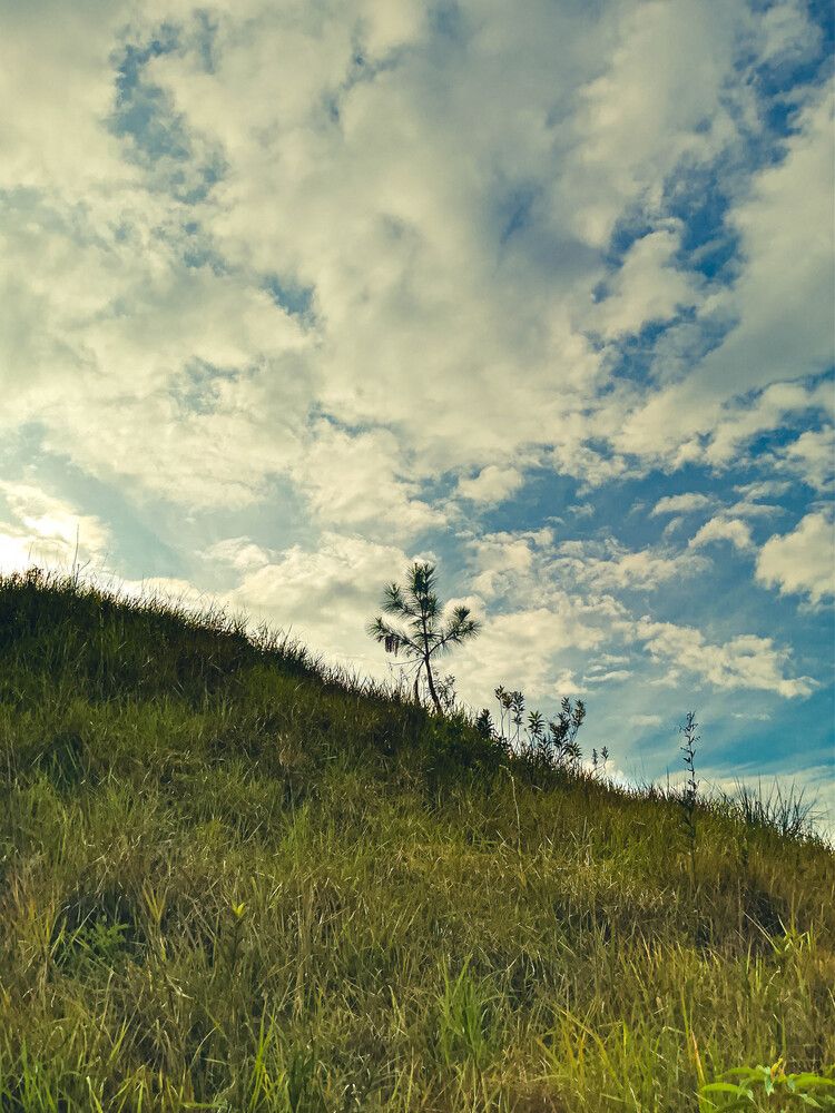 Photograph by Carlos Casas