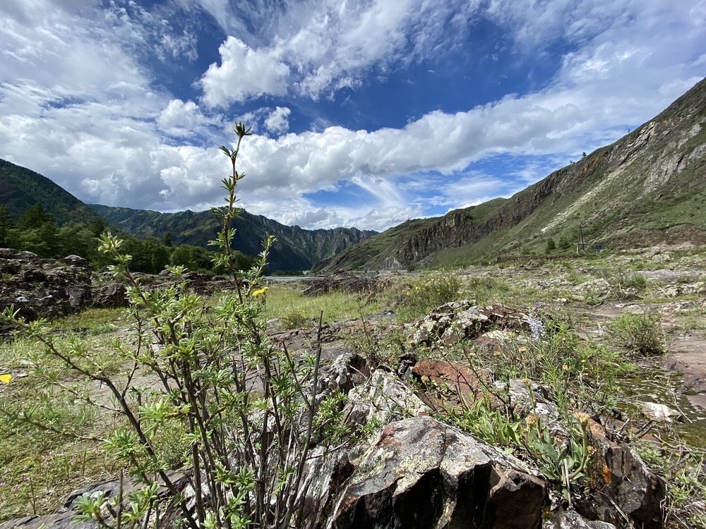 Photograph by Ульяна Красикова