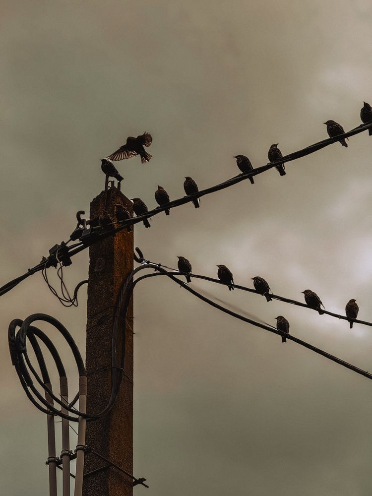 Photograph by Светлана Долганова