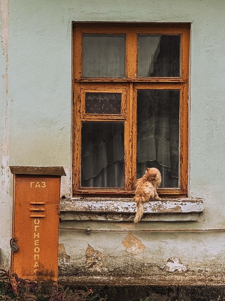 Photograph by Светлана Долганова