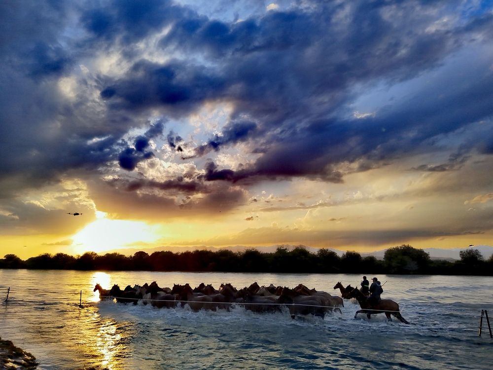 Photograph by Ainur Manapkyzy