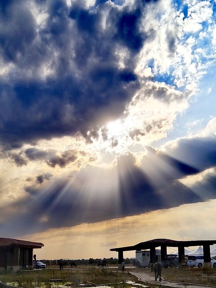 Photograph by Ainur Manapkyzy