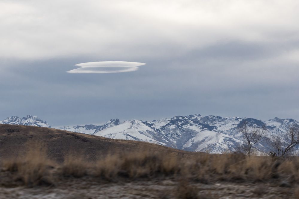 Photograph by Елена Кудрявцева