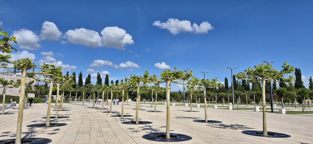 Фотография автора Ольга Мусина