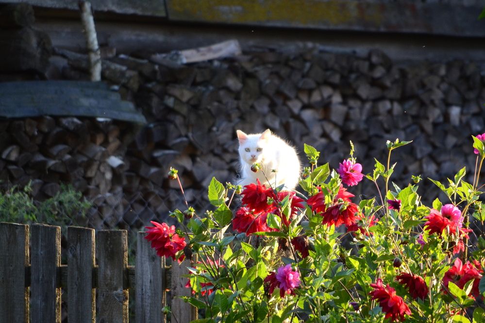 Photograph by Игорь Блинов