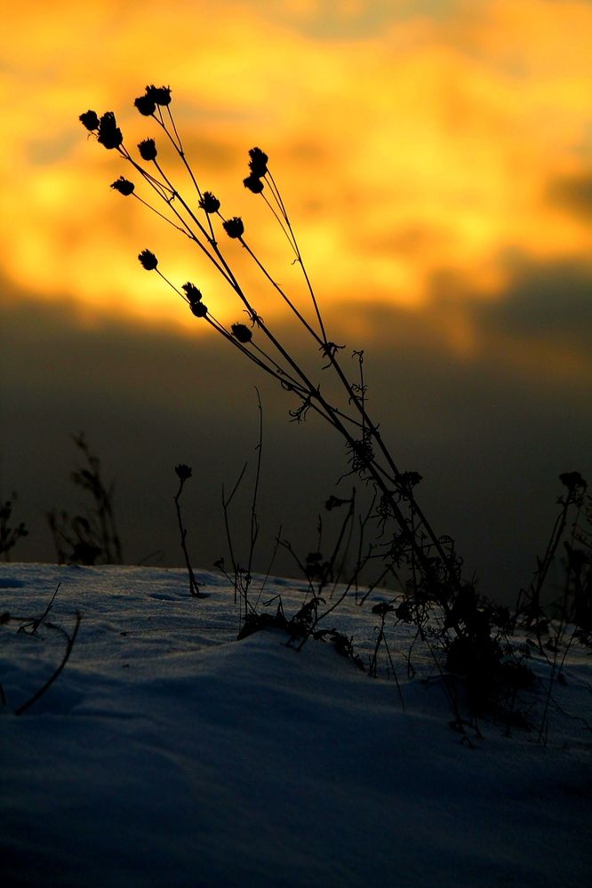 Photograph by Павел Ван