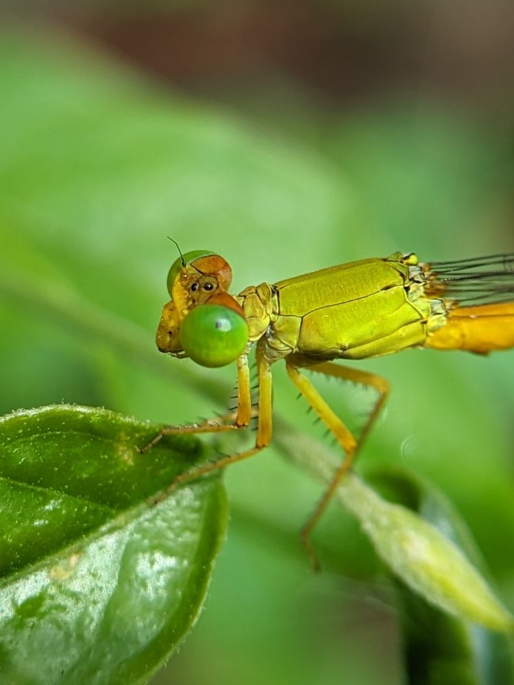 Photograph by 35 Awards