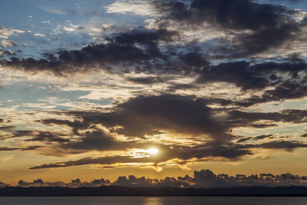 Photograph by Татьяна Каскевич