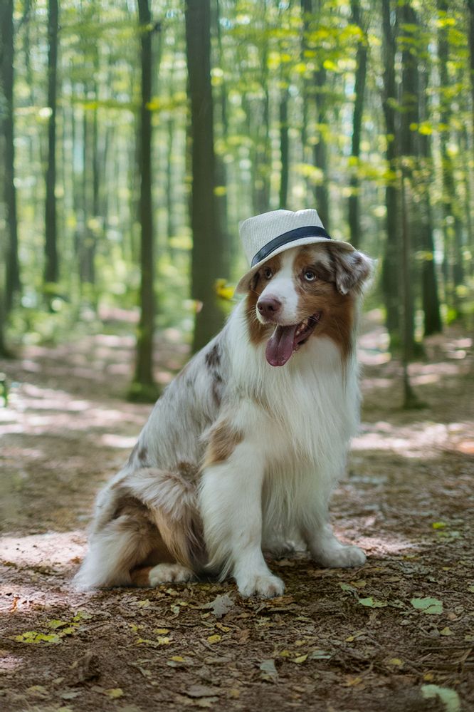 Photograph by Виктория