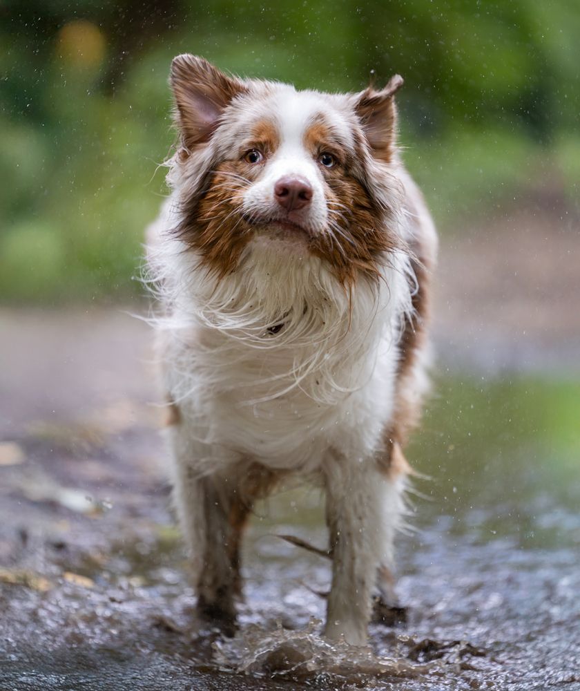 Photograph by Виктория