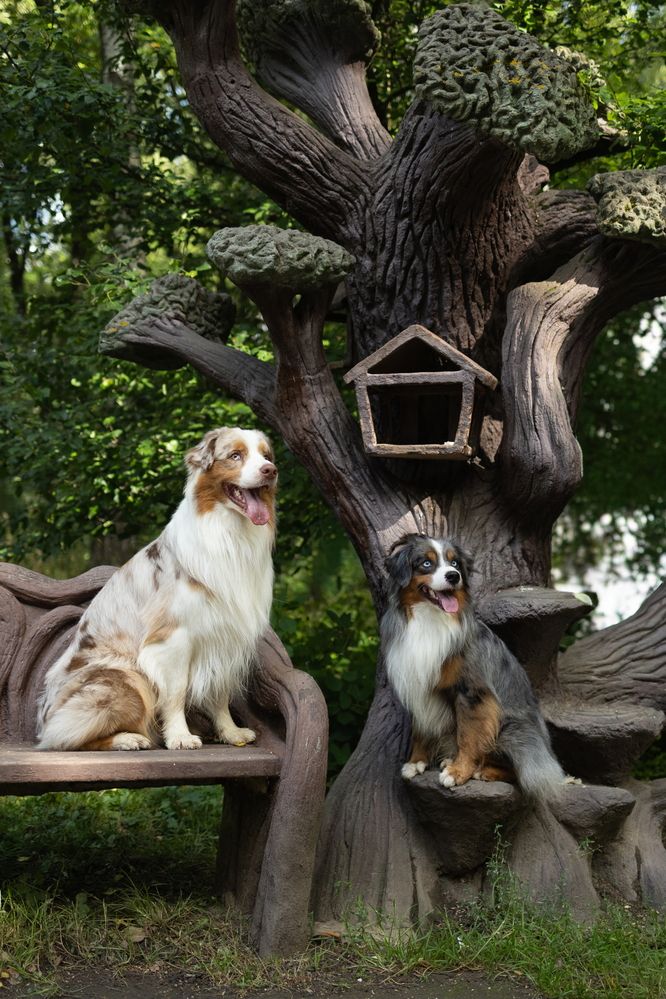 Photograph by Виктория