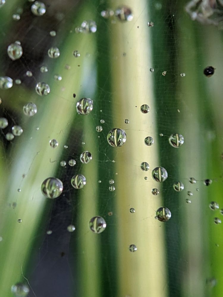 Photograph by 35 Awards