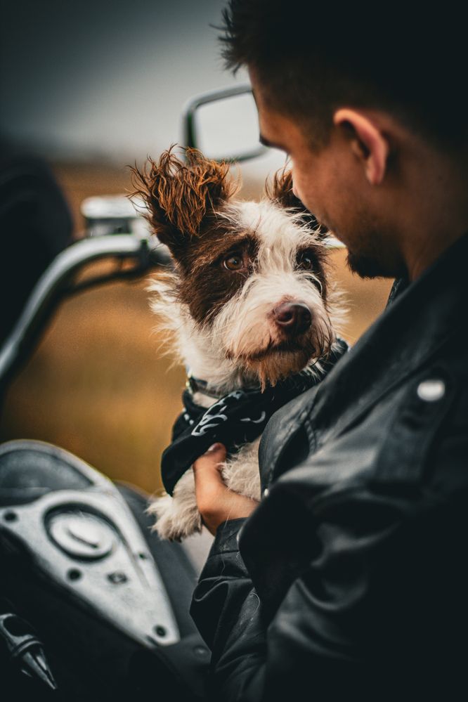 Photograph by Илья Антипов