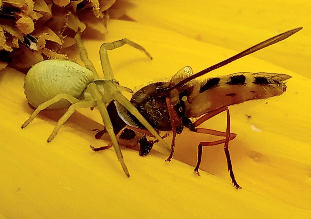 Photograph by Евгений Савулькин