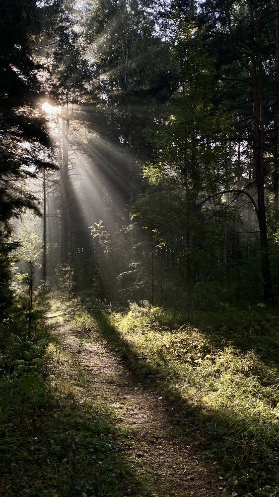 Photograph by Анастасия Подкорытова