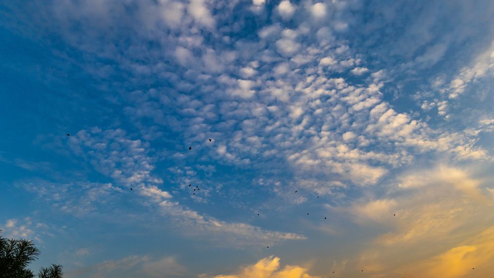 Photograph by Dhruv Chauhan