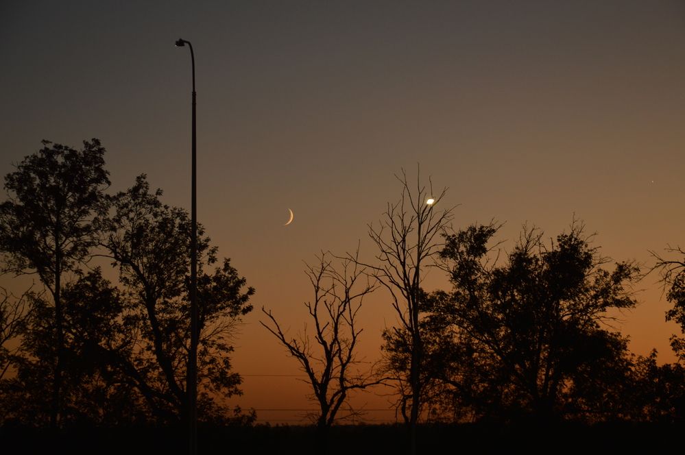 Photograph by Ольга Шевцова