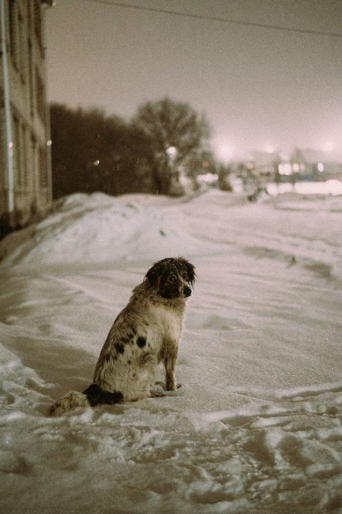 Photograph by Светлана Субботина