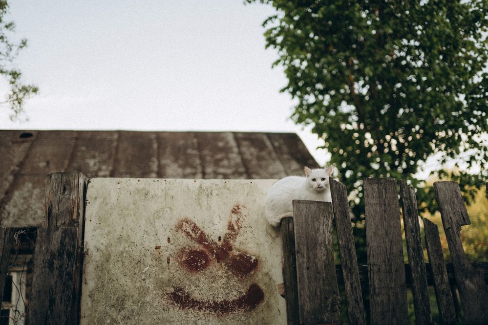 Photograph by Светлана Субботина