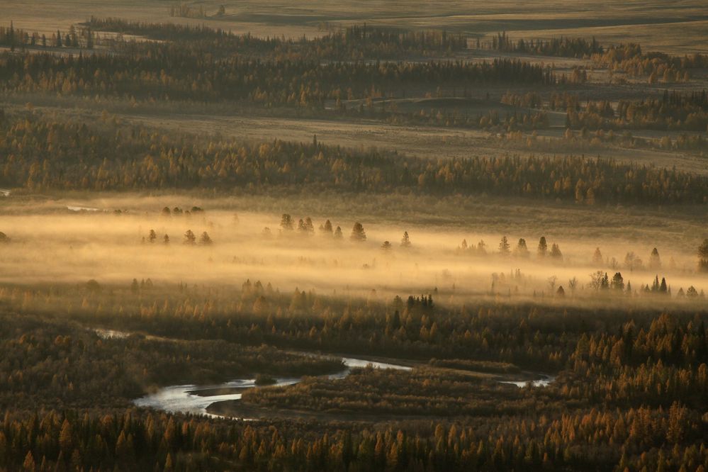 Photograph by Галина Хвостенко