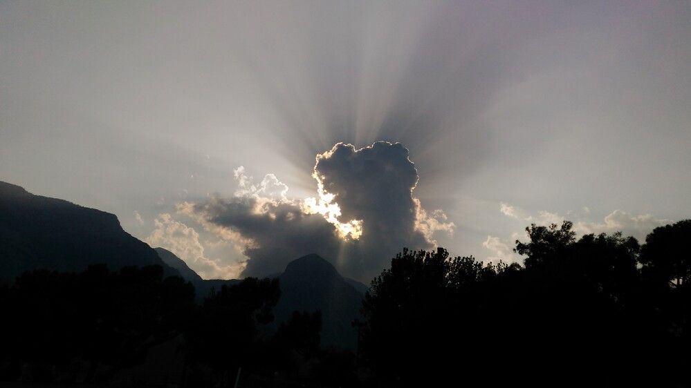 Photo #12532878