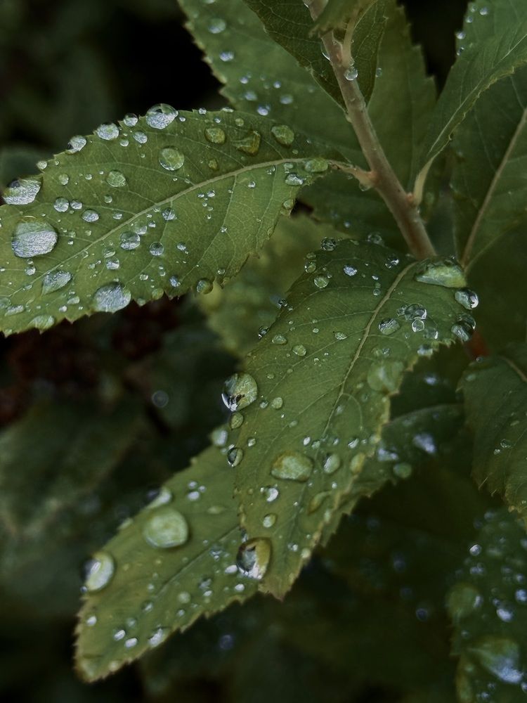 Photograph by Katerina Nikolaeva