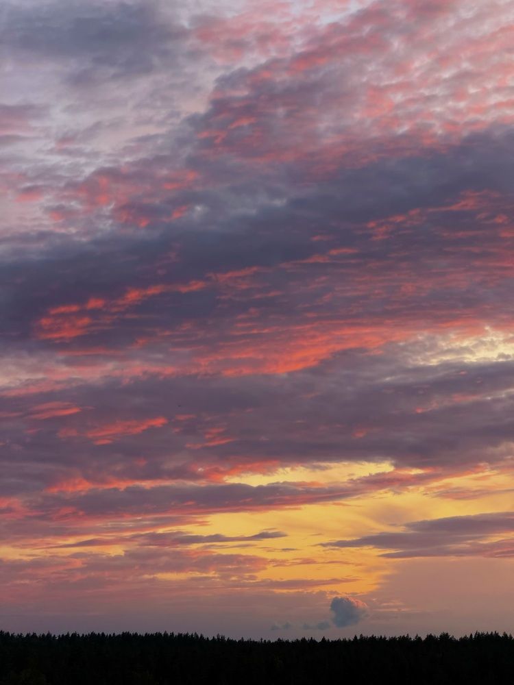 Photograph by Katerina Nikolaeva