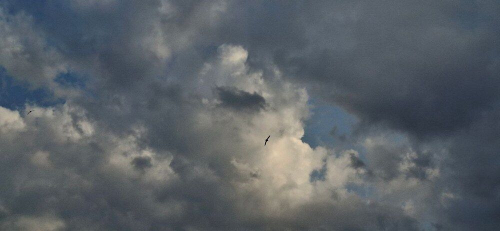 Фотография автора Amalazy Zim