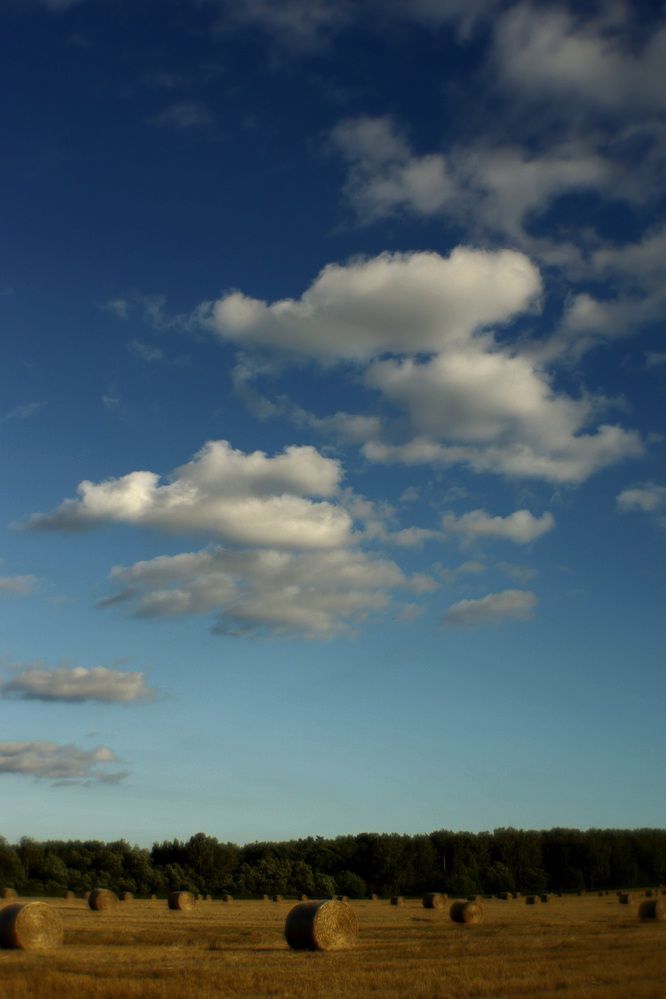 Photograph by Оксана Серёгина