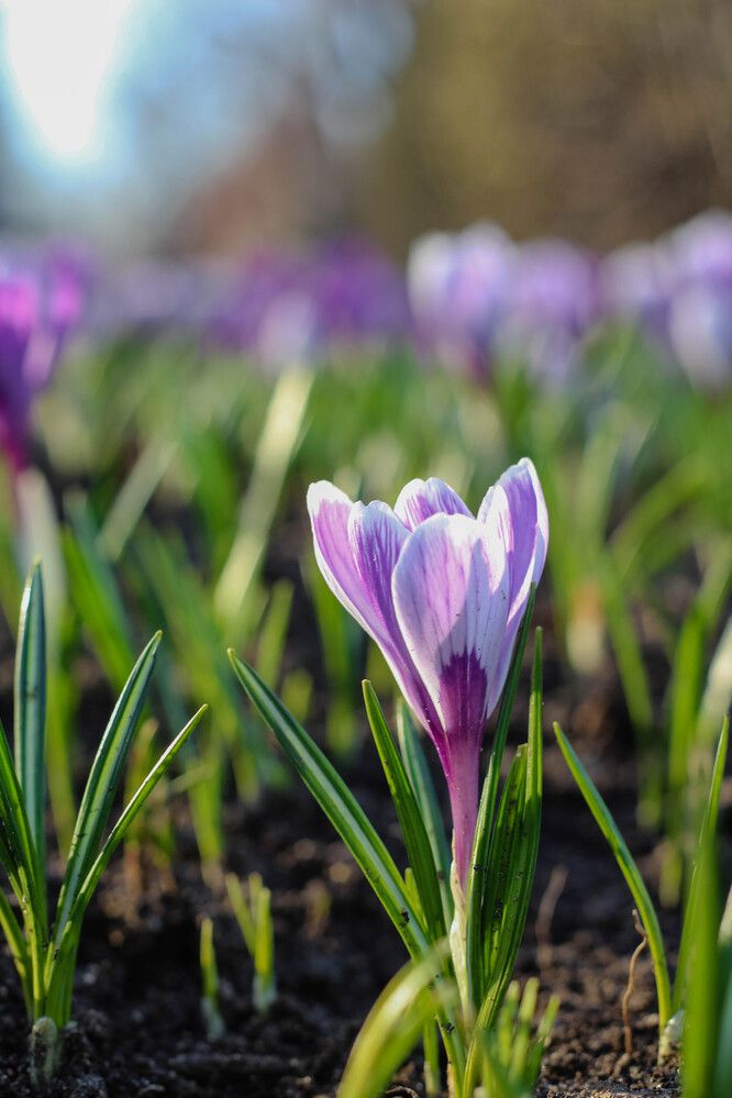 Photograph by Алина Шмакова