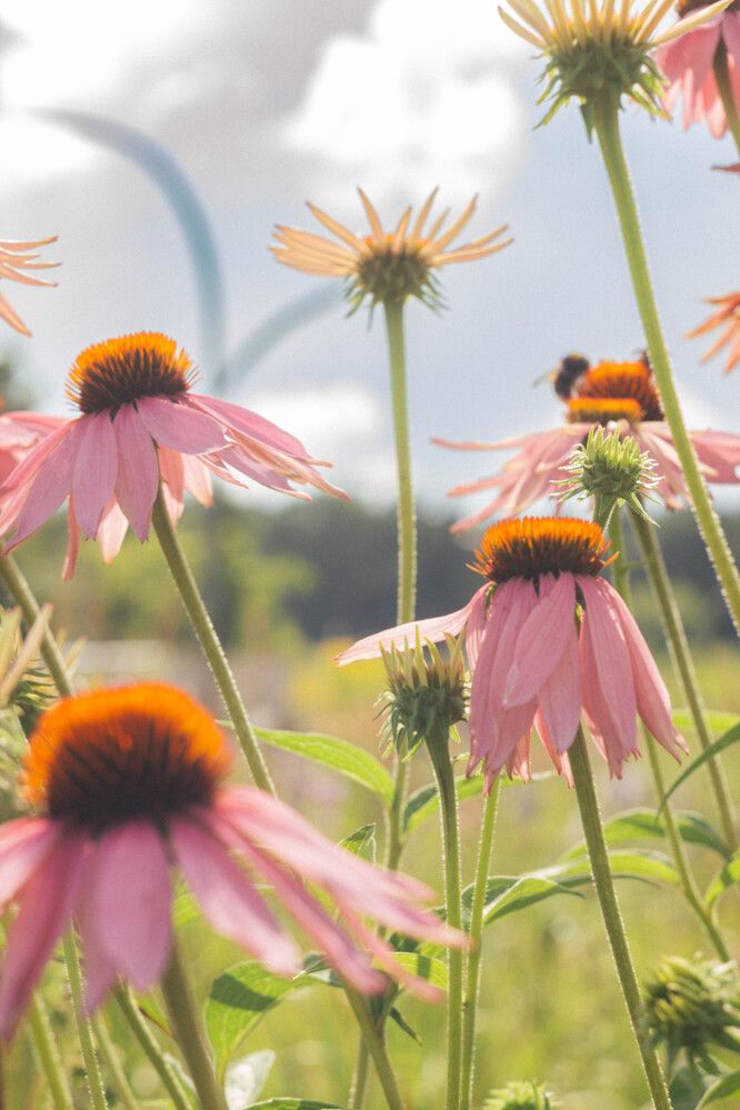 Photograph by Алина Шмакова