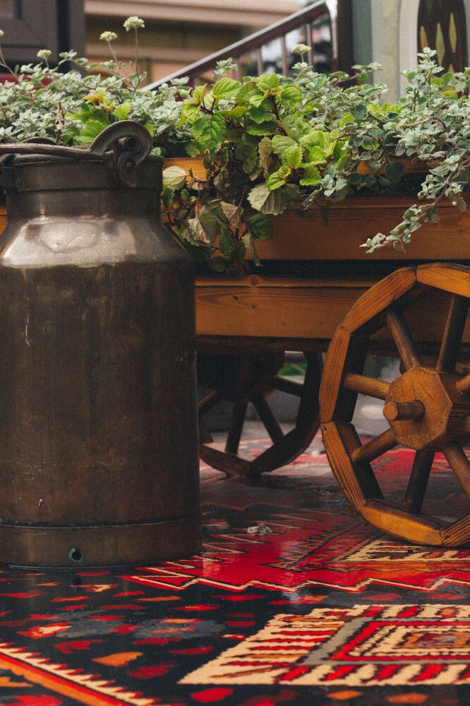 Photograph by Алина Шмакова