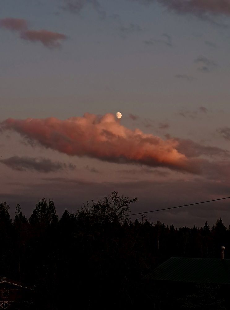 Photograph by Галина Перепечаева